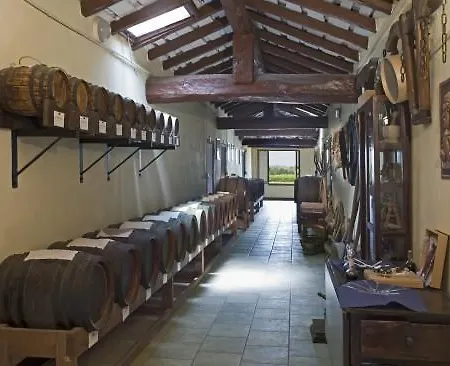Acetaia Il Mulino Di Navicello Casa rural