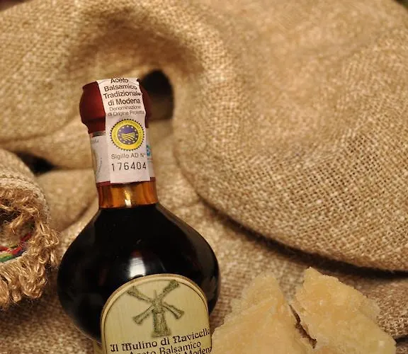 Acetaia Il Mulino Di Navicello Country house